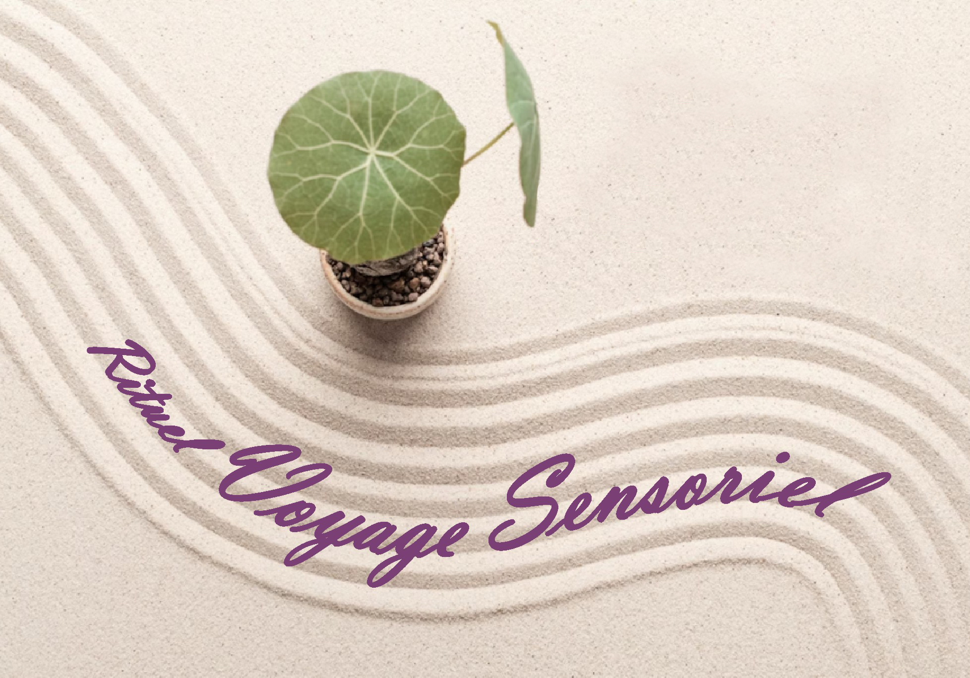 Massage rituel 'Voyage sensoriel'
